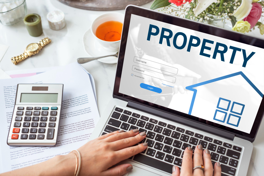 Property Taxes 2